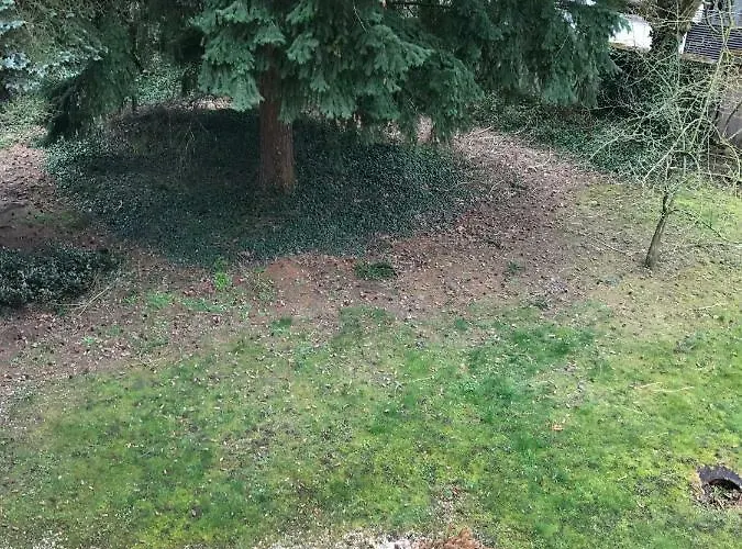 Chez Auguste * نانسي